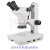 江南JSZ6体视显微镜（生物解剖镜）/8-50倍放大/高清晰大景深 永新双目反射