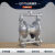 QBY25/40气动隔膜泵不锈钢耐腐腐蚀铝合金抽胶泵塑料铸铁压滤机泵 QBY/K100铝合金丁腈膜片