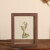 大团小圆相框摆台木质双面画框装裱实木玻璃立体植物标本双面透明框 胡桃色 5寸可放9*13