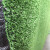 草坪围挡环保人造仿真草坪网隔离网护栏网绿色市政防护绿化草皮 2米宽25米长翠绿草1.5厘米