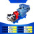 304不锈钢齿轮泵KCB18.3/33.3/55/83.3/200/300化工自吸泵定制 kcb33.3/2.2KW单相电6分流