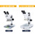 力辰科技生物显微镜大视场目镜带CTV专业光学高清jing子螨虫显微镜 LC-SMS-4T+9寸显示屏+环形灯 