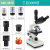 XSP-36-1600X 双目专业光学 生物显微镜学生实验检测养殖 XSP36TV3000倍（三目不含屏）