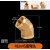 橙央4分接头内外丝内丝直接双公螺丝三通 6分转4分铜变径四分水管水暖配件 4分×45°弯头铜