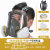 LISM防毒面具全面罩喷漆打磨防护全脸专用头罩防尘防护面罩毒气罩护罩 6600全面具+7号滤毒盒防尘毒
