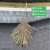 家用户外大扫把竹子扫帚扫院子塑料大号马路扫环卫物业笤帚加长杆 连体竹扫把5个装3.5斤左右