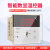 数显温控表XMTD-2201温度调节仪温控器E型K型PT100短壳智能温控仪 XMTD-2201（短