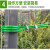 安达通 绿色包塑钢丝绳 细软钢丝承晒衣架窗户牵引线工程胶皮钢丝绳 1 3.5mm-50米 