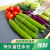 定制适用超市专用蔬菜水果防滑垫生鲜果蔬垫PVC陈例货架保护垫子防水裁剪 绿色 0.8米X5米