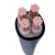 定制适用ZRYJV国标铜芯电缆线4/5芯50/70/95/120/150平方VV22铠装WDZ3 国标3*50(一米价格)