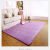 加厚珊瑚绒地毯欧式床边毯客厅卧室地毯榻榻米满铺 浅紫色 40X60厘米3件装
