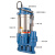 大元大元不锈钢污水泵家用切割式潜水排污泵污水抽水泵化粪池泥沙泵 WQD10-8-0.55A(1.5寸)