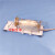 大鼠固定器 小鼠固定器 尾静脉注射抽针灸保定 实验用老鼠筒架 PC筒票160-350g