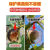 水果套袋防鸟防虫专用尼龙网袋葡萄无花果枇杷芒果袋草莓保护袋子 防虫防鸟袋 30*45cm80个