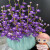 曲回闻抖音新款多彩幸福花手工串珠材料包DIY工编织花束针织花 多彩幸福花-粉紫+1个南瓜花瓶