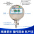 健林工控数显压力控制器气水液压数显数字电接点压力表控制器开关 0~0.6Mpa