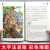 格列佛游记 彩图注音版 小学生一二三年级5-6-7-8岁语文课外世界经典儿童文学名著童话故事书