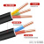 沈缆红星 电线电缆YJV 3*6+1*4平方四芯硬线国标3+1铜芯电源线 1米