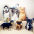 异形宠物抱枕定制来图订做猫狗毛绒玩具卡通动物玩偶抱枕生日礼物 双面印图抱枕 20厘米-29厘米