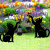 梓嘉福Y 太阳能灯户外防水草坪家用铁艺插牌猫咪庭院花园景观装饰 黑猫提灯(单个装)