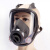 三艾姆 多功能面具化工气体防尘防飞溅油漆消防防护全面罩 主体配5号盒罐（小罐） 