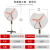 防爆摇头扇FBBTS-500落地式600壁式750工业电风扇220V牛角扇380V FB-600/220V立式带调速