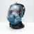 海固 HG-800D 防毒面具喷漆化工防尘防护面罩全面罩呼吸专用（不含过滤件） 蓝色 联系客服定制