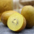 三世橙媛新鲜黄心猕猴金桃西峡猕猴桃奇异果金果应季水果整箱礼盒大果 特大果10枚（100-130g）