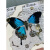 机械蝴蝶标本机械蝴蝶机械物种diy标本摆件盲盒零件模型手工diy材 角花(古铜色4个)