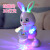 NSHINE儿童仿真兔子声光电动会唱歌跳舞机器人玩具婴儿宝宝早教 跳舞熊猫红20首歌版 套餐就玩具一个