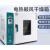 500度高温烘箱干燥箱恒温实验室试验箱400℃烘干箱商用 101-2ABS(350度 永光明