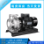 南方南泵水泵ZS50-32ZS80-65不锈钢卧式环泵单级泵水处理供水给水 ZS65-50-200/11SSC