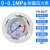 定制精选好物轴向耐震压力表YN60ZT气压表三色1.6/10/40mpa液 0-1MPA=10公斤M14*1.5