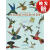 【4周达】The Family of Hummingbirds: The Complete Prints of John Gould