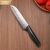 金达日美菜刀厨师专用刀专业级切菜刀不锈钢家用切片刀切肉刀锋利 水果刀