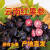 教蔬鲜生红果参水果贵族蜘蛛果稀奇古怪新鲜罕见稀有不常见当季野果素 250g 小果 14mm以下