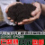 植物黑泥土花土养花种菜通用型有机营养土盆栽家用种植土壤腐殖土 无土腐熟松针10斤 改良土壤增加