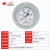 红旗仪表氧气专用YO-100ZT轴向带边氧气压力表禁油压力表测氧专用 0-6MPA