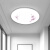 樱花茶花款LED吸顶灯卧室客厅室内走廊厨房厕所节能超亮 樱花款48W39cm无极调光遥控