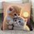 可爱猫咪抱枕沙发客厅床头靠背垫办公室抱枕套不含芯卡通方形靠的 OZ23 -双面40x40(不加枕芯)