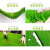 京工京选 草坪地毯假草塑料绿色户外铺垫子装饰 2.5cm【固定1米宽  要几米长-拍多少件】