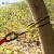 SHANDUAO 户外扁带环 攀岩登山装备 承重扁带绳 耐磨保护带SD289 黄色双边150cm