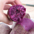 虎钢馋紫薯新鲜番薯地瓜农家蔬菜现挖软糯板栗山芋红小番薯紫心蜜薯 小果 3斤