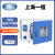 一恒电热恒温鼓风干燥箱烘箱实验室烤箱恒温小型灭菌消毒烘干箱 DHG-9123A(至250℃/135L)