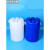 60升双口塑料桶加厚化工桶带盖子油桶废液桶实验室大小口蓝色白色 60升双口桶蓝