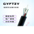 GYFTZY-24B1.3室外管道光纤4/8/12/16/48/96/144芯非金属阻燃光缆 GYFTZY-8芯
