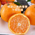 解印四川青见果冻橙当季新鲜水果现摘现发爆甜多汁正宗果冻橙 5斤 大果 (单果70-75mm)