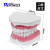 牙科模型 标准 牙齿牙模 教学 假牙 幼儿园 刷牙 口腔 模型 标准模型
