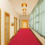 志臻 PVC黑底双条纹地毯室内室外防滑走廊地垫 暗红色2米宽*15米长 一卷