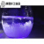 天气瓶材料diy风暴瓶幼儿园中小学生科学实验器材小道具创意礼物 色素葡萄紫一份(0.5ml)